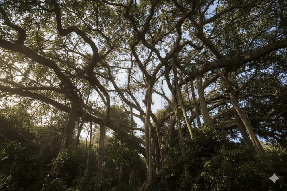 The plant ecosystem at Monkey Mountain is diverse, including ancient banyan trees with large roots and thick foliage